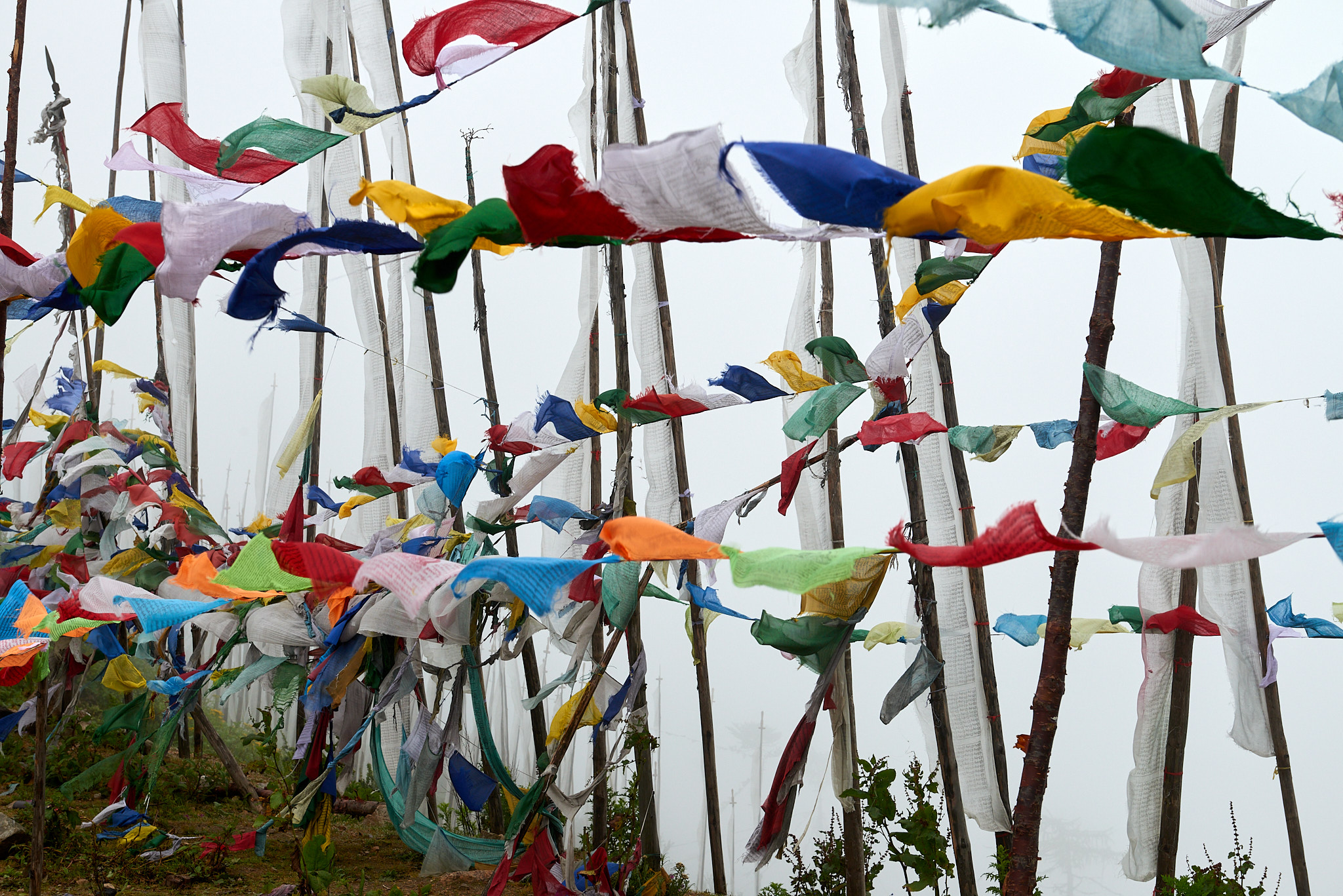 20170809 182 Chela La